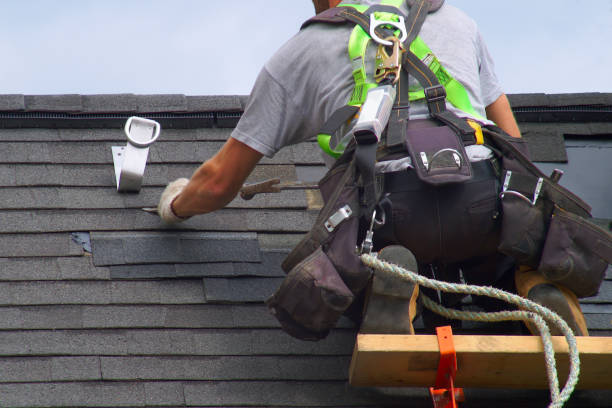 Best Residential Roofing Contractor  in Bushnell, IL