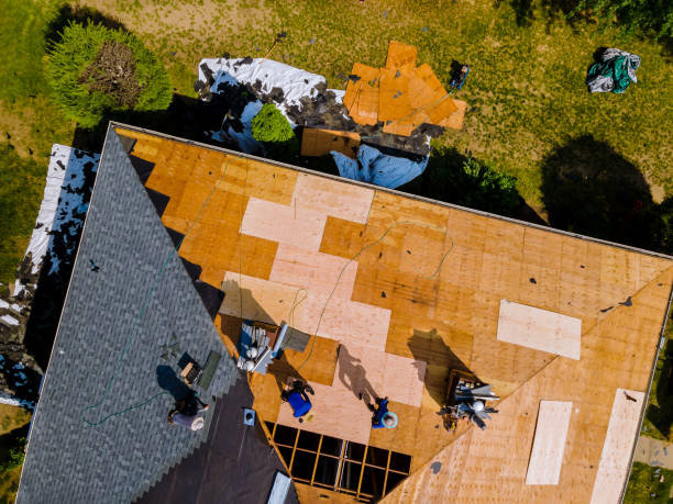 Best Storm Damage Roof Repair  in Bushnell, IL