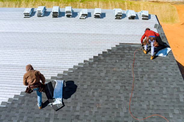 Best Roof Gutter Cleaning  in Bushnell, IL