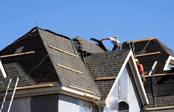Best Roof Inspection Near Me  in Bushnell, IL