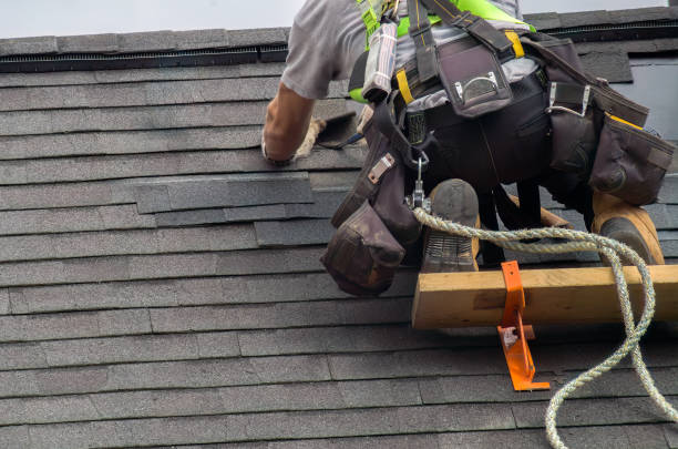 Best Local Roofing Companies  in Bushnell, IL