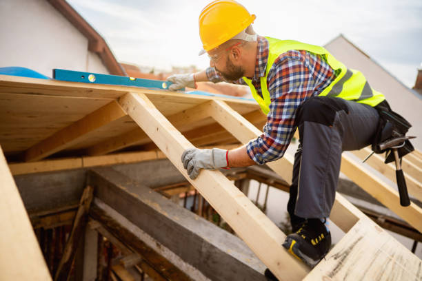 Roof Gutter Cleaning in Bushnell, IL