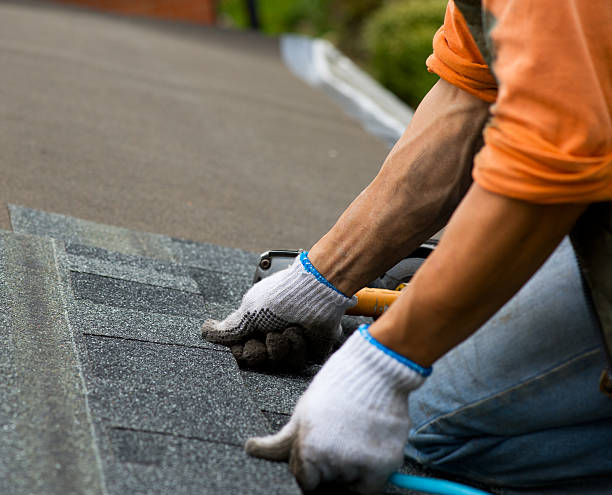 Best Metal Roofing Contractor  in Bushnell, IL