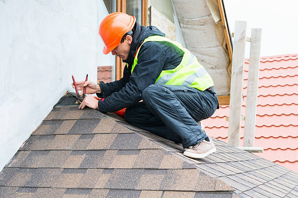 Best Roof Repair Services  in Bushnell, IL