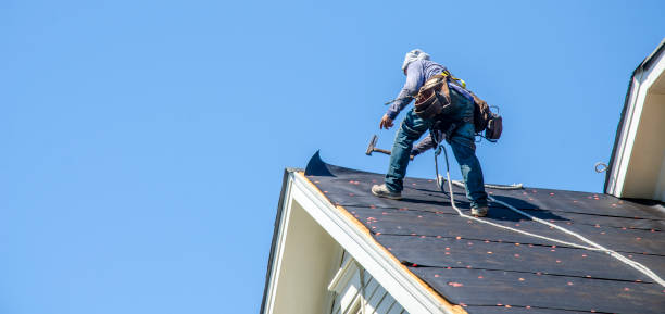 Best Shingle Roofing Installation  in Bushnell, IL