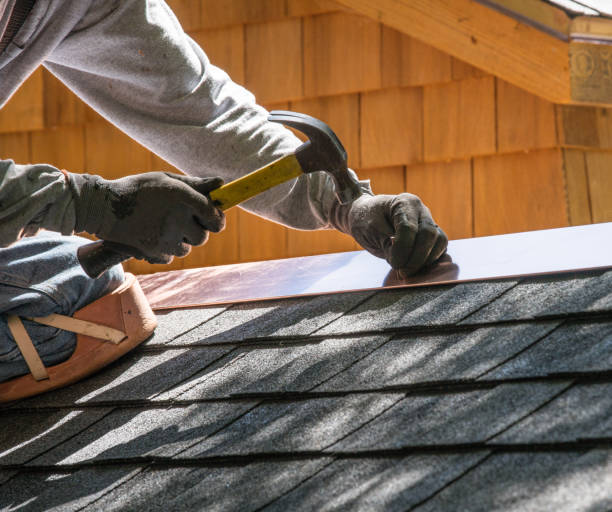 Best Roof Inspection Near Me  in Bushnell, IL